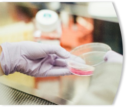 lab testing efficiency